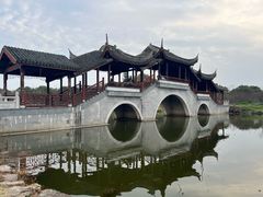 -上海海湾国家森林公园