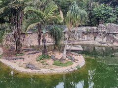 -深圳野生动物园