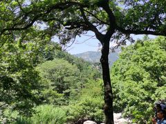 -崂山九水游览区