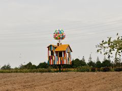 -杭州湾海上花田景区