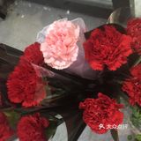 诺漫花艺馆