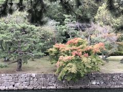 -青山刚昌故乡馆