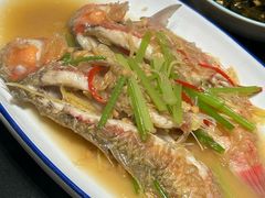 -吴记富苑(朝阳店)