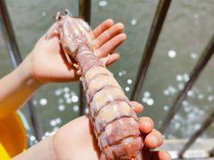 -胜海大排档·海鲜·黄鳝饭(十年老店)