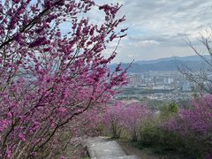 -天台山赤城山景区