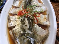 清蒸野生白鱼-巢湖名吃·徽府农家菜(半汤店)