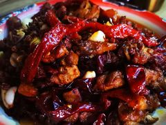 -柴窝堡22号辣子鸡·传承新疆菜