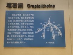 -安徽省地质博物馆