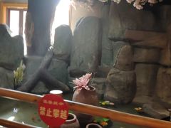 -即墨印象