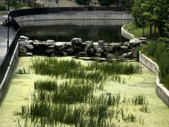 -白水寺森林公园