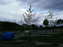 android_upload_pic-叠水河瀑布