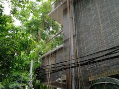 -小洲村