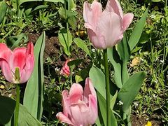 -长春公园(普阳街道)