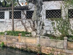 -惠山古镇·寄畅园