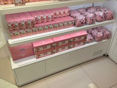 -乐天免税店(明洞店)