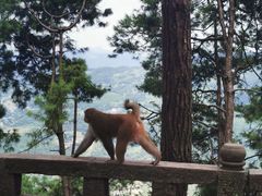 -重庆雨台山风景区