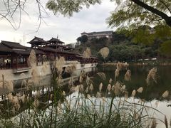 -重庆彩云湖湿地公园