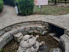 -中华三祖圣地黄帝城遗址文化旅游区