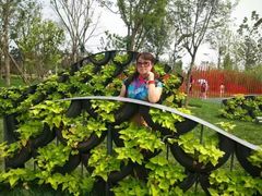 -武清南湖绿博园