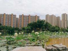 -木塔寺遗址生态公园