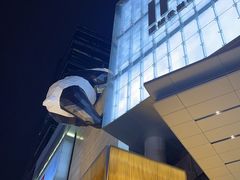 -大龙燚火锅(春熙店)
