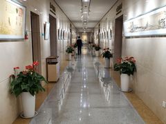 -济南遥墙国际机场-叁号贵宾厅