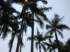 -荔枝公园(福田区)