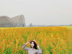 -中国天府农业博览园