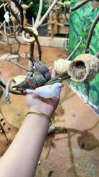 -Zoolung Zoolung动物主题公园(海信广场店)