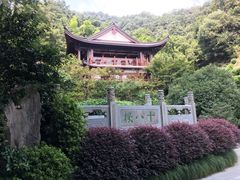 -十八棵（老龙井）御茶园(老龙井店)