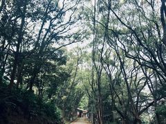 -福清灵石山国家森林公园