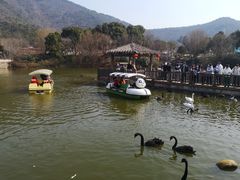 -无锡动物园·太湖欢乐园