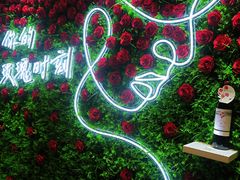 -盒马鲜生(大成店)