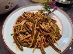 -丁老爷子苏香圆