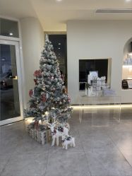 -VE专注问题肌·赛诺龙&科学美肤中心