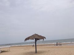-日照海滨国家森林公园