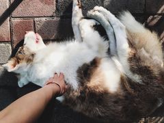 -豆舞咖啡(民乐路店)