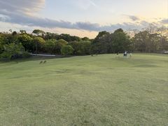 -奈良公园