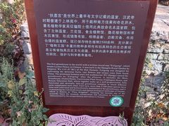 -昆明植物园
