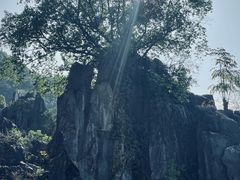 -玉石林风景区