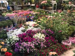-双季花艺园艺市场(浦东店)