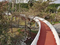 -文华公园(禅城区)