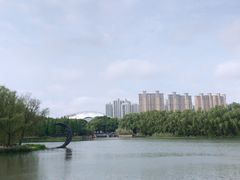 -昆山城市生态森林公园