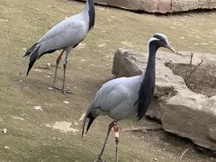 -哈尔滨北方森林动物园