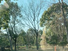 -上海月湖雕塑公园