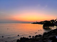 -深圳湾公园(南山区)
