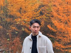-秦岭风景区