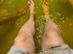 -湖泉半山温泉