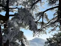 -安吉龙王山风景区