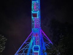 -万泉公园